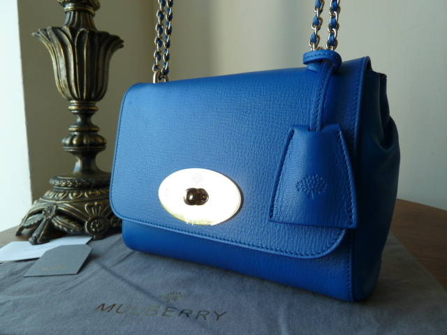 Mulberry Lily in Bluebell Shiny Goat Leather - SOLD